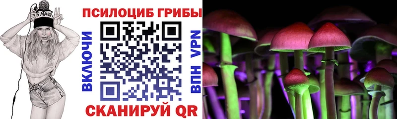 купить   darknet какой сайт  Псилоцибиновые грибы прущие грибы  Солигалич 