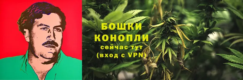 МАРИХУАНА LSD WEED  сколько стоит  Солигалич 